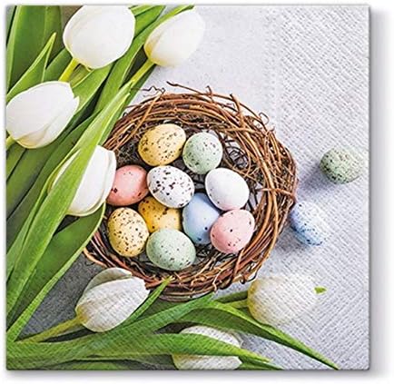 Eggs & Tulips