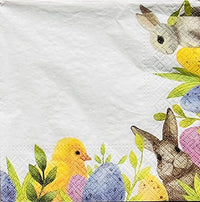 Bunny and Chicklet