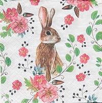 Rabbit Berries