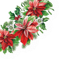 Glory Poinsettia