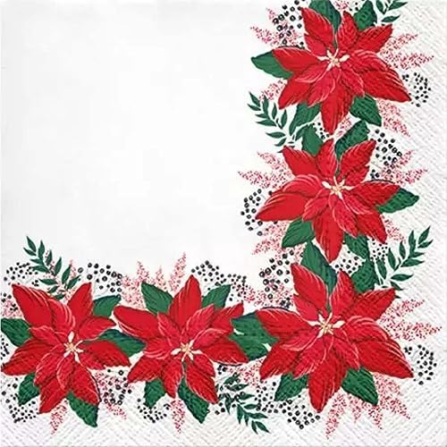 Lovely Poinsettia