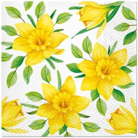 Daffodils in Bloom