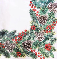 Winter Branches