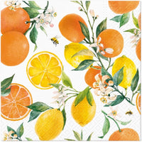 Fall Napkins Paper Disposable Decorative Decoupage Citrus 13 in