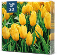 Floral Napkins Paper Disposable Decorative Decoupage Tulips Field 13 in