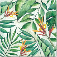 AM Décor - 20 Count Soft 3-Ply Decoupage Luncheon Paper Napkins -13" x 13" (Unfolded) (Jun