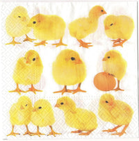 Easter Napkins Paper Disposable Decorative Decoupage Yellow Chicks 13 in - image 7